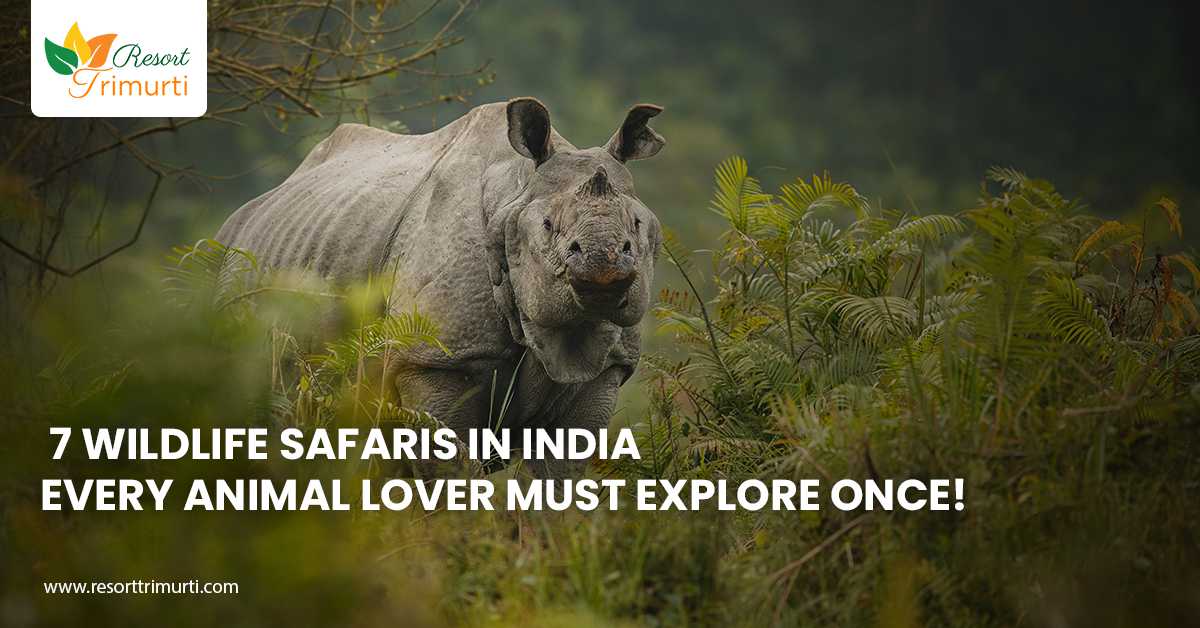 7 Best Wildlife Safaris in India